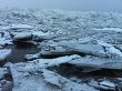 Берег Финского залива покрыли пятиметровые торосы Берег Финского залива покрыли пятиметровые торосы